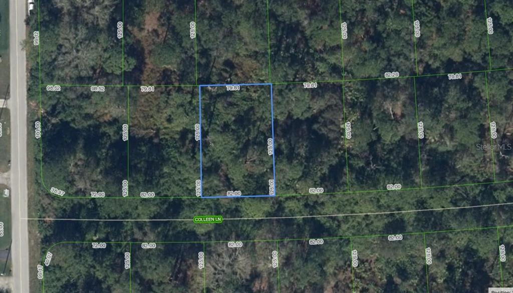 This is an aerial map showing a rectangular plot of land outlined in blue — 208 COLEEN LANE, LAKE PLACID, FL