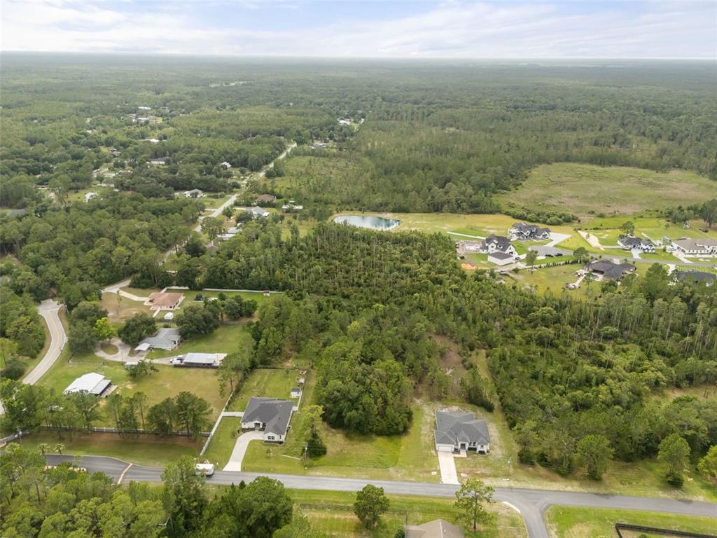 An aerial view shows houses scattered among dense forest and open grassy lots — 8017 WOODLEAF BOULEVARD, WESLEY CHAPEL, FL
