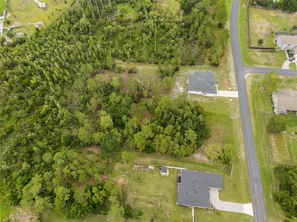 An aerial view shows a wooded lot situated between two residential houses and a road — 8017 WOODLEAF BOULEVARD, WESLEY CHAPEL, FL