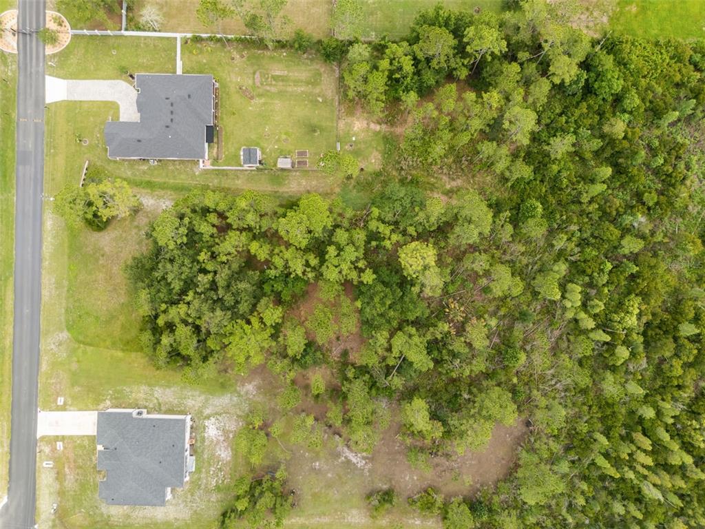 An aerial view shows a vacant, wooded lot situated between two existing residential homes — 8017 WOODLEAF BOULEVARD, WESLEY CHAPEL, FL