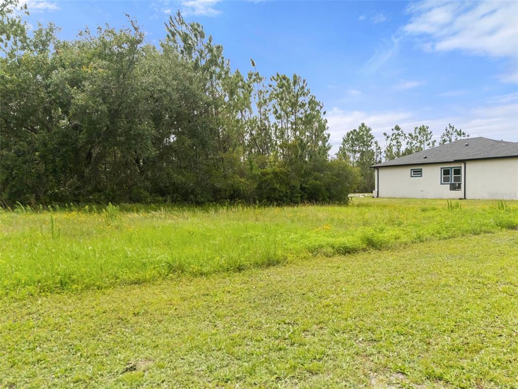 A grassy vacant lot sits next to a single-story house with a white exterior — 8017 WOODLEAF BOULEVARD, WESLEY CHAPEL, FL