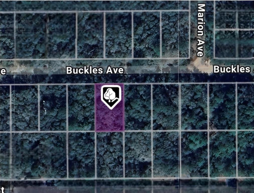 This is a satellite map view showing a highlighted rectangular land parcel along a road — LOT 8 BUCKLES AVENUE, INTERLACHEN, FL