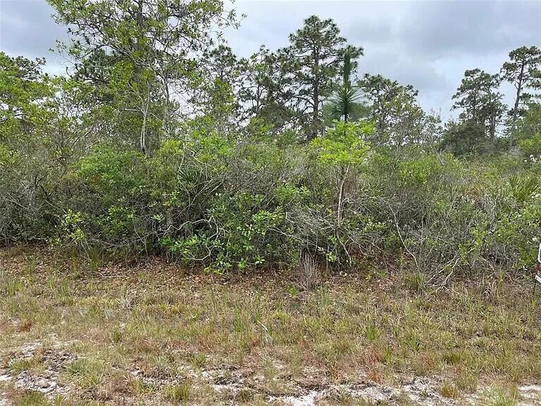 A vacant, wooded lot features dense green shrubs and tall pine trees under a cloudy sky — 0 Bougainvillea Drive, FL 33855, FL