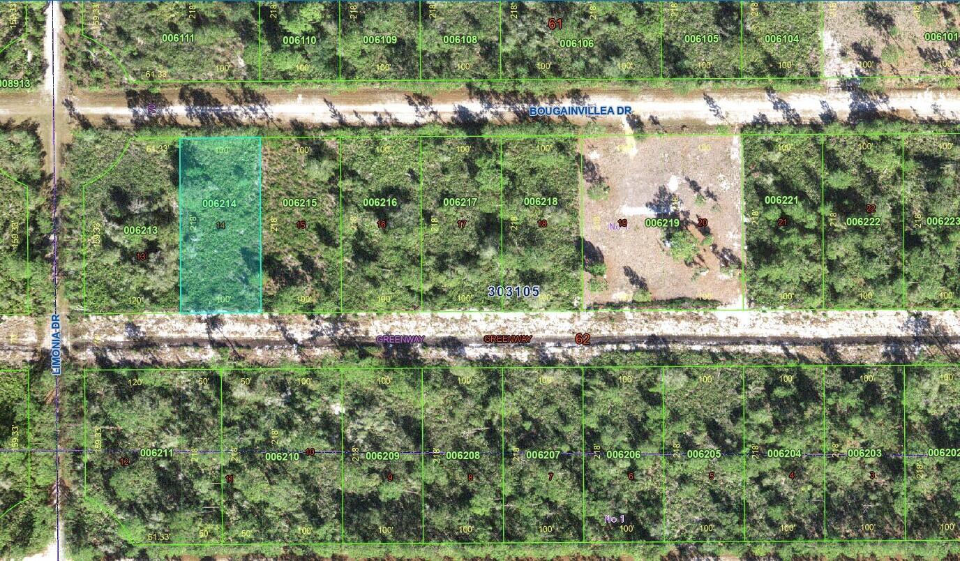 This is a satellite map showing a grid of undeveloped residential land parcels — 0 Bougainvillea Drive, FL 33855, FL