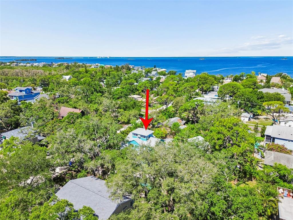 An aerial view shows a house with a blue exterior nestled among dense green trees — 416 TENNESSEE AVENUE, CRYSTAL BEACH, FL
