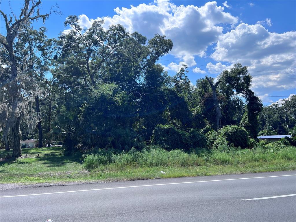 A paved road runs in front of a wooded lot with dense trees and vegetation — US 19 HIGHWAY N, FANNING SPRINGS, FL