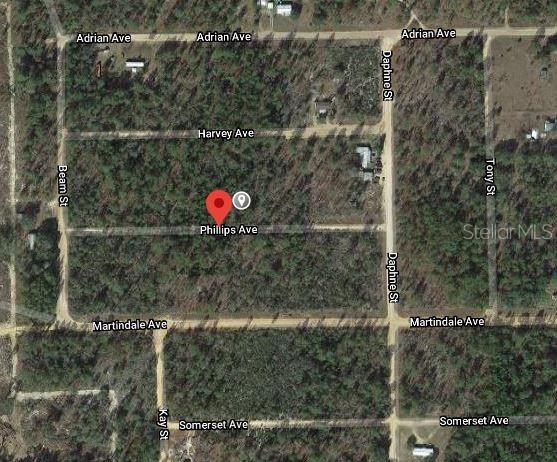 00 PHILLIPS AVENUE, INTERLACHEN, FL — photo 2 of 3