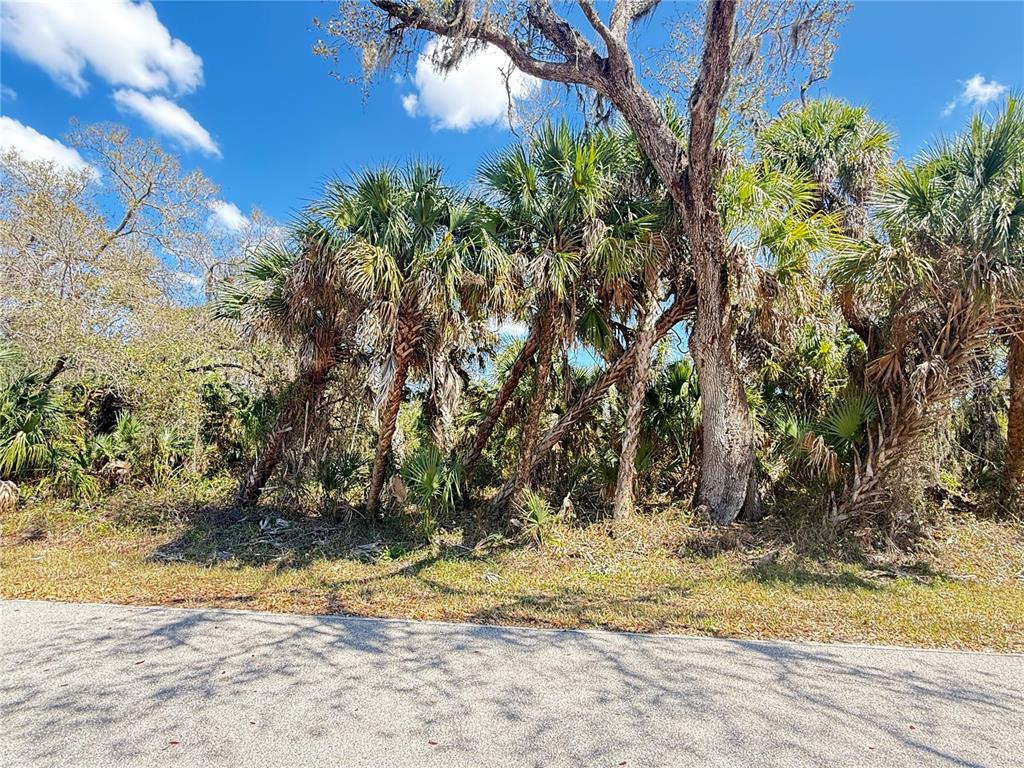 A paved road runs in front of a wooded lot with palm trees and oaks — 436 E VENANGO ST STREET E UNIT 436, PORT CHARLOTTE, FL