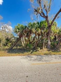 A paved road runs in front of a cluster of palm trees and other vegetation — 436 E VENANGO ST STREET E UNIT 436, PORT CHARLOTTE, FL