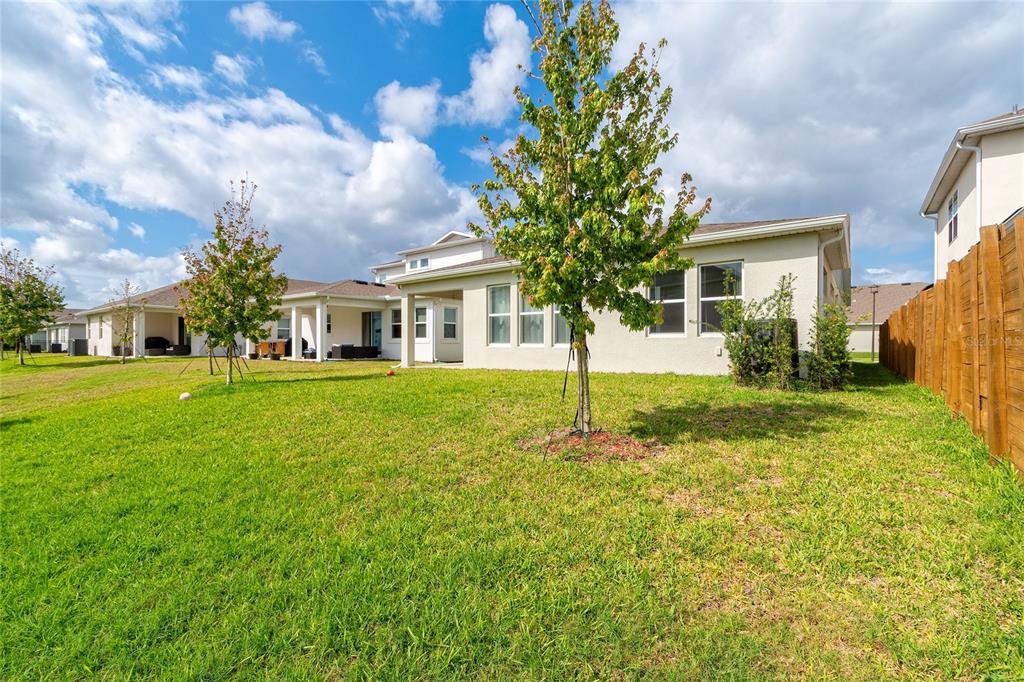 The backyard of a suburban house features a grassy lawn, young trees, and a wooden fence — 14815 MILFOIL AVENUE, ORLANDO, FL