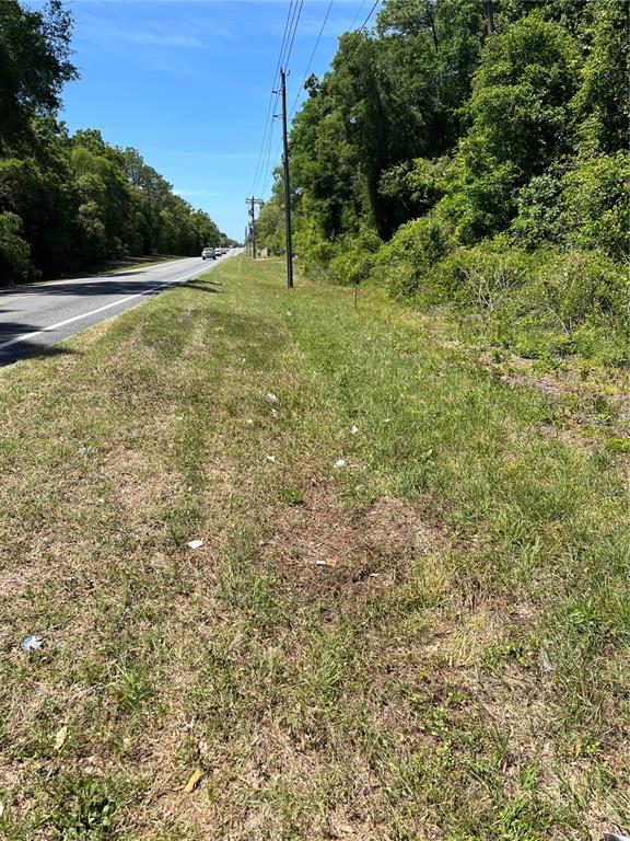 A grassy roadside shoulder runs alongside a paved road bordered by a line of trees — Lot 12 W HWY 40, OCALA, FL