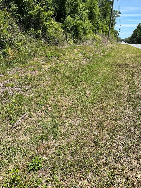A grassy roadside verge slopes up toward a dense line of trees and utility poles — Lot 12 W HWY 40, OCALA, FL