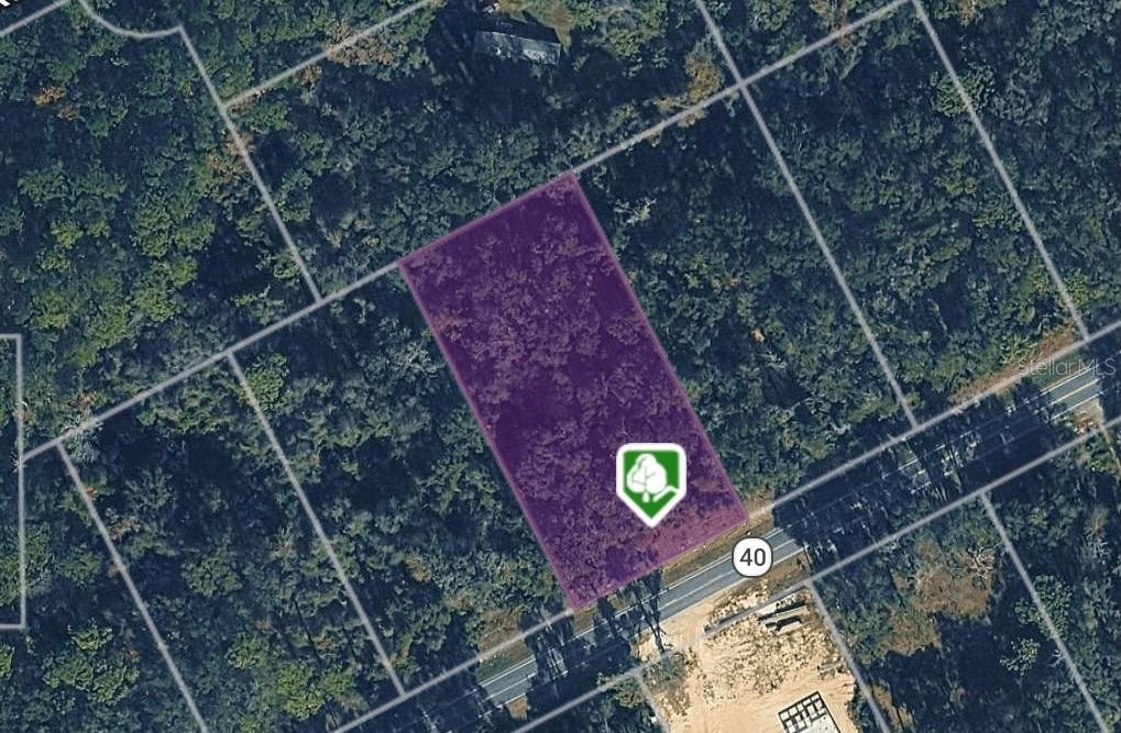 An aerial view shows a rectangular, wooded lot highlighted in purple along a road — Lot 12 W HWY 40, OCALA, FL