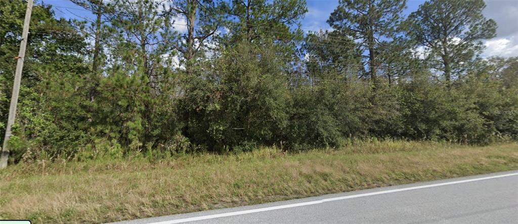 A view of a wooded, undeveloped lot bordering a paved road with a utility pole — OLD GRADE ROAD, POLK CITY, FL