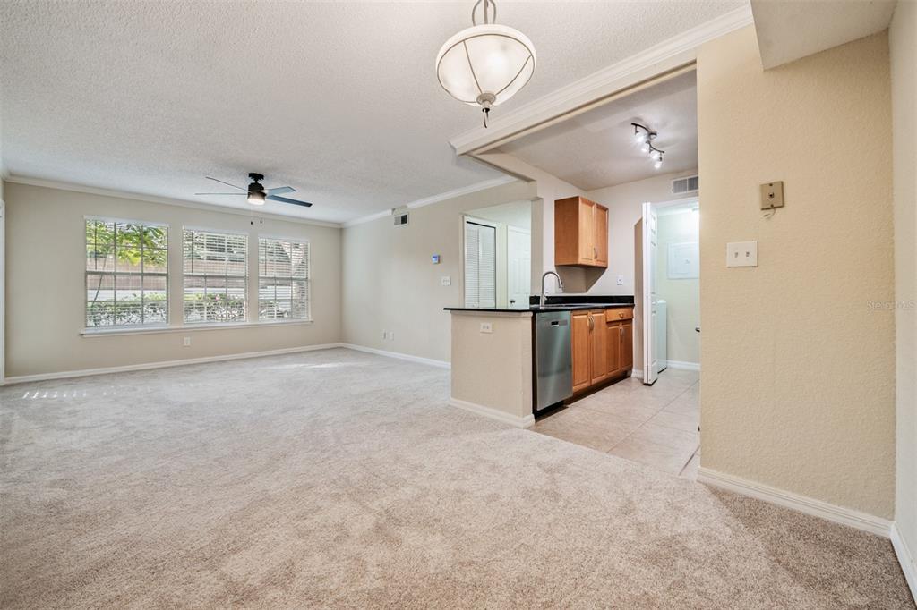 A living room with beige carpet opens to a kitchen featuring wood cabinets and appliances — 3274 HAVILAND COURT UNIT 101, PALM HARBOR, FL