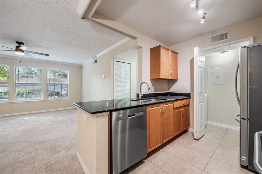 A kitchen with wood cabinets, black countertops, and stainless steel appliances opens to a carpeted living area — 3274 HAVILAND COURT UNIT 101, PALM HARBOR, FL