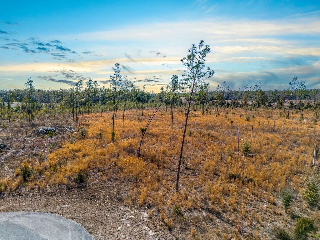 An aerial view of a vacant, grassy lot with scattered pine trees and a paved road — TBD 211TH COURT, LIVE OAK, FL