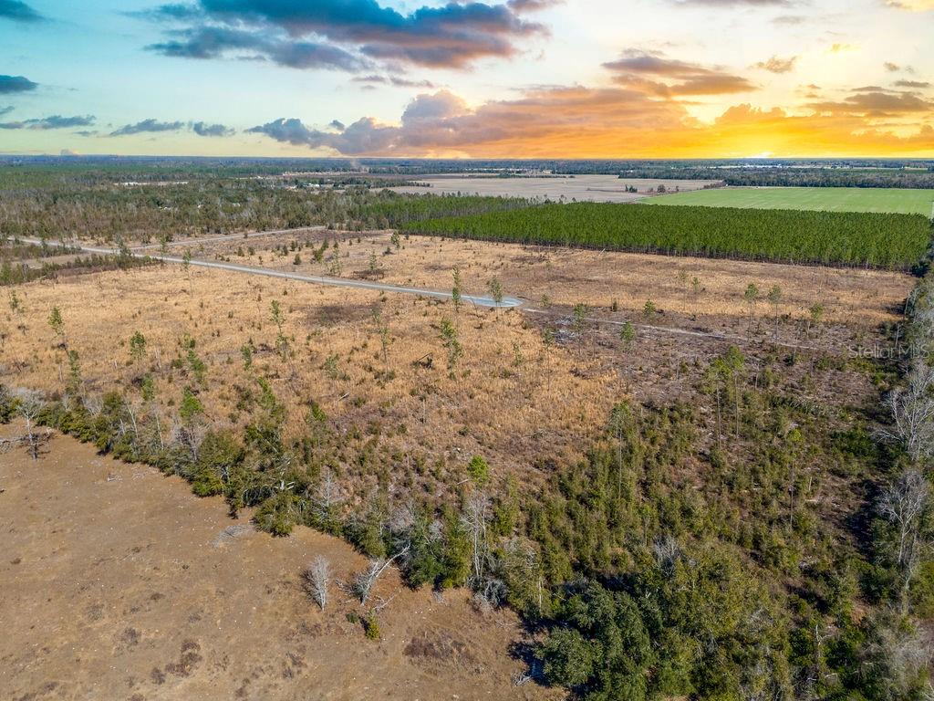 An aerial view shows a large, undeveloped grassy field with scattered trees and a road — TBD 211TH COURT, LIVE OAK, FL