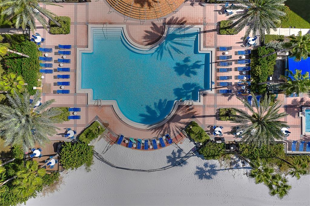 An aerial view of a swimming pool surrounded by lounge chairs, palm trees, and sand — 16450 GULF BOULEVARD UNIT 564, NORTH REDINGTON BEACH, FL