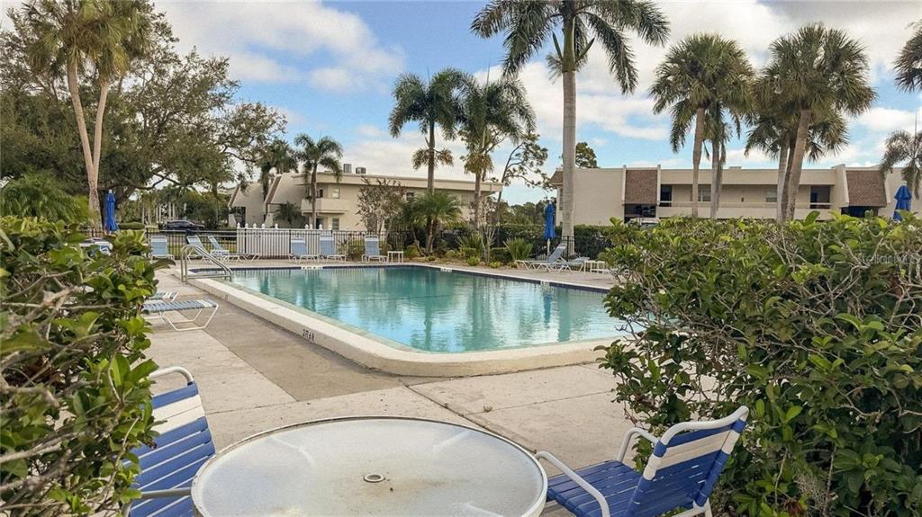 A swimming pool surrounded by lounge chairs, a patio table, and palm trees near apartment buildings — 7461 W COUNTRY CLUB DRIVE N UNIT 306, SARASOTA, FL