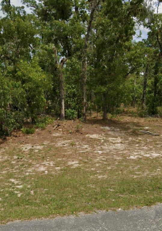 5689 N SUMMERFIELD POINT