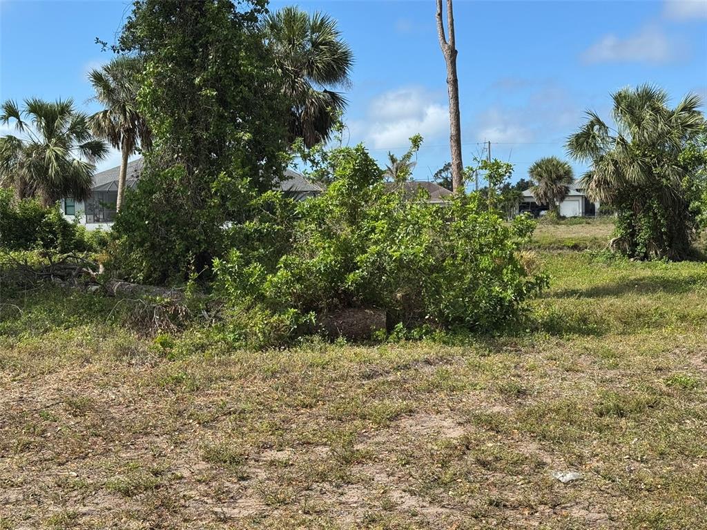 A vacant, grassy lot features several palm trees and dense green bushes under a blue sky — 50 PINE VALLEY LANE, ROTONDA WEST, FL