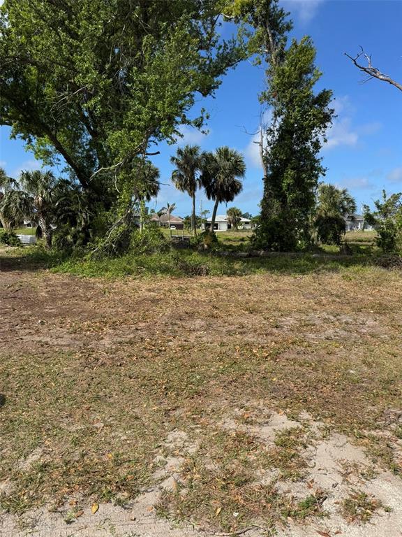 A vacant, grassy lot features several large trees and palm trees under a clear blue sky — 50 PINE VALLEY LANE, ROTONDA WEST, FL