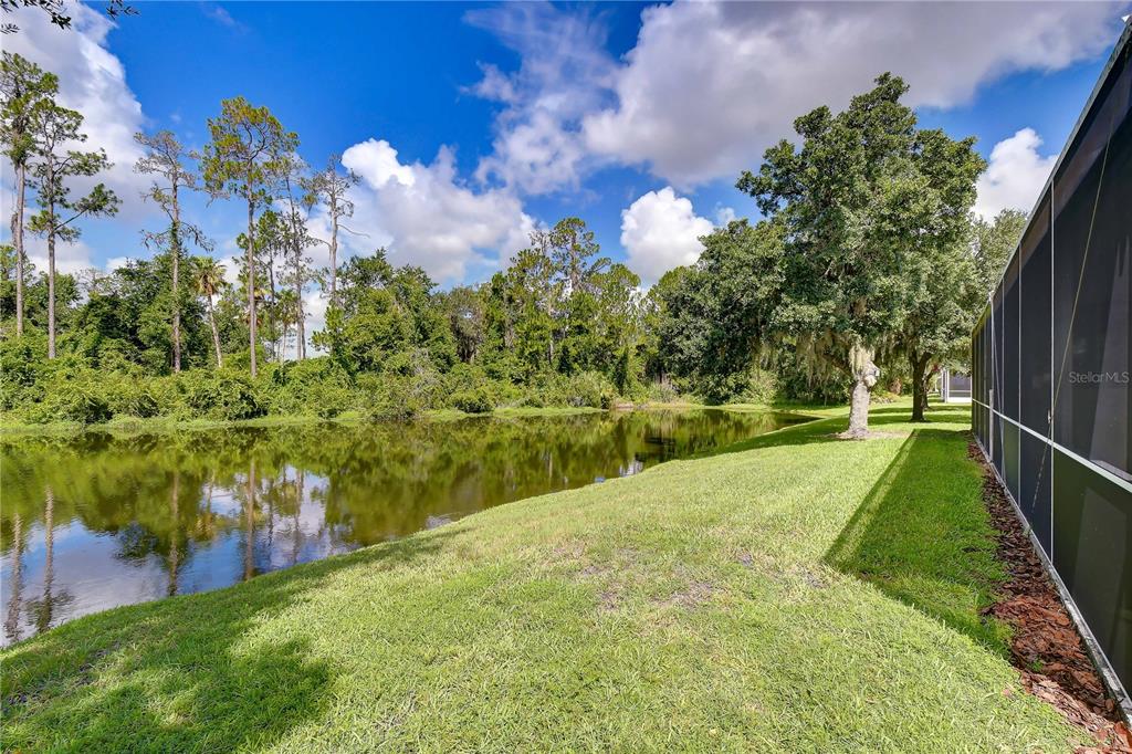 A grassy backyard slopes down to a pond bordered by dense trees and a screened enclosure — 3332 CHAPEL CREEK CIRCLE, WESLEY CHAPEL, FL