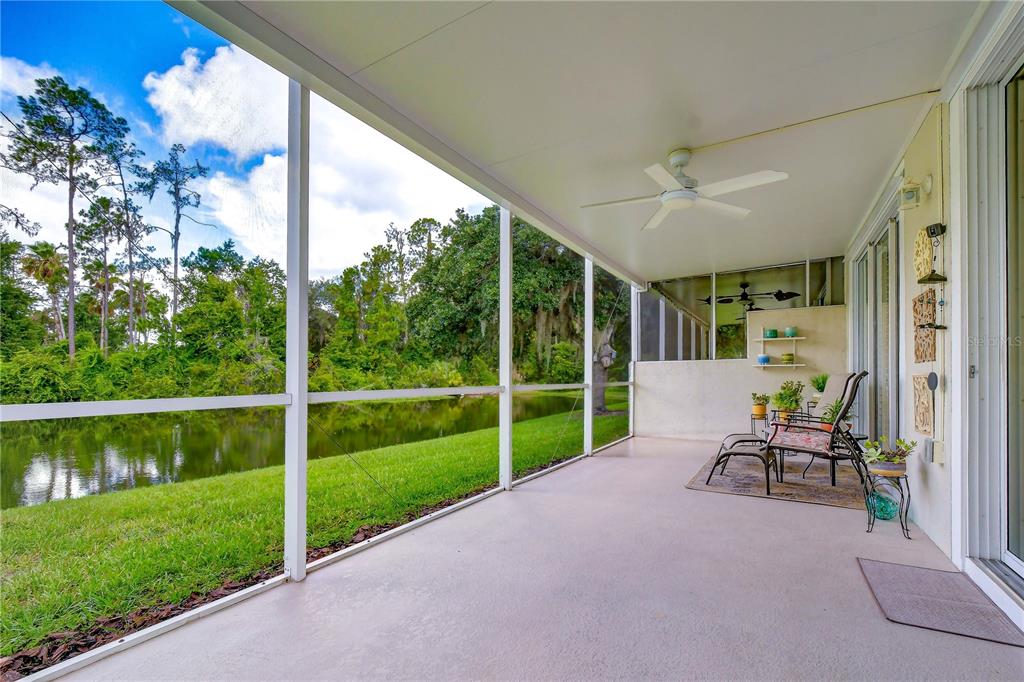 A screened-in patio with a ceiling fan overlooks a grassy lawn and a small pond — 3332 CHAPEL CREEK CIRCLE, WESLEY CHAPEL, FL