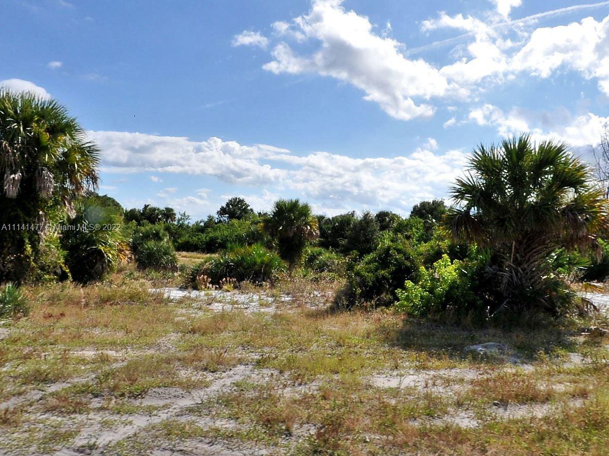 An undeveloped, sandy lot features scattered palm trees and dense native vegetation under a cloudy sky — 55 Savannah Rd, Fort Pierce FL 34982, FORT PIERCE, FL