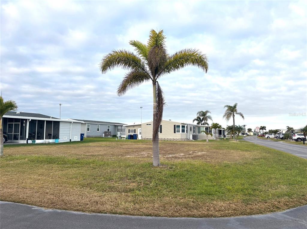 A palm tree stands in the center of a grassy, vacant lot near mobile homes — 501 SAN CLEMENTE CIRCLE, NORTH PORT, FL