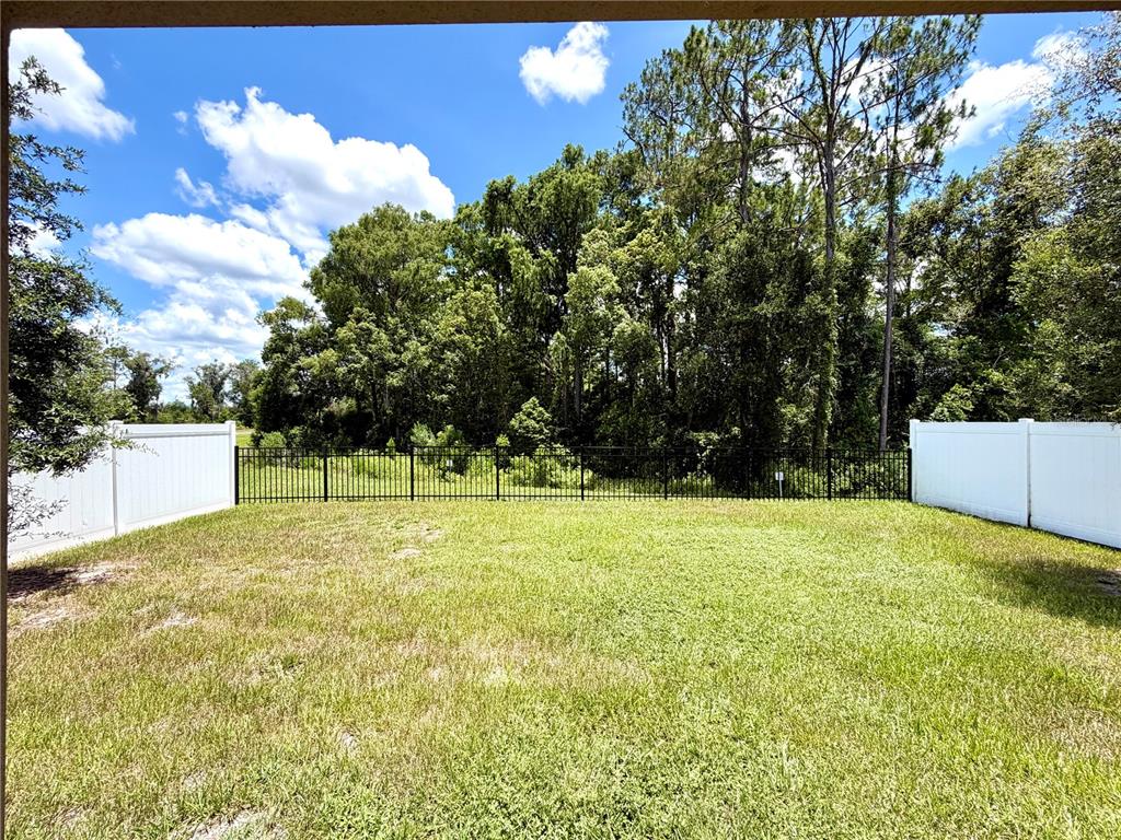 A grassy backyard features a black metal fence bordered by white vinyl privacy panels — 9136 CAPE COD ROAD, DELAND, FL