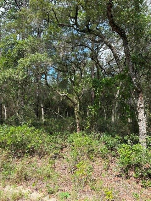 TBA SW WINDING HILLS ROAD