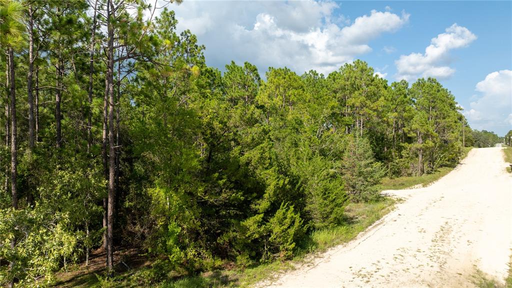 00 NE 49TH STREET, WILLISTON, FL — photo 4 of 22