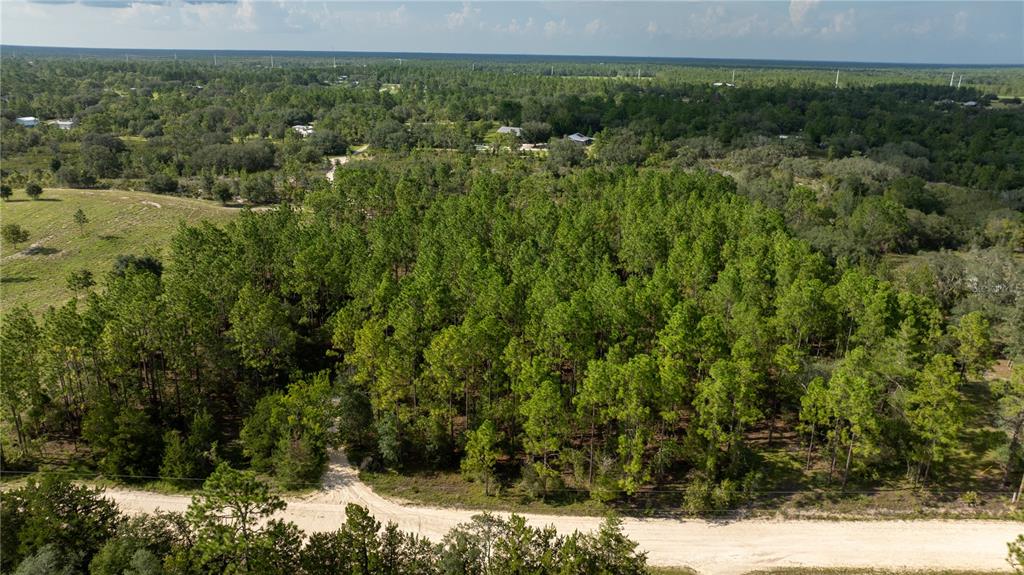 00 NE 49TH STREET, WILLISTON, FL — photo 5 of 22