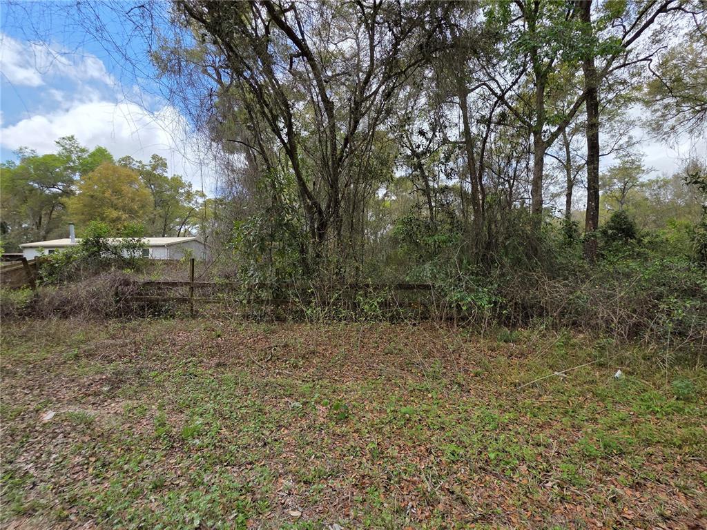 00 SE 30TH AVENUE, SUMMERFIELD, FL — photo 2 of 8