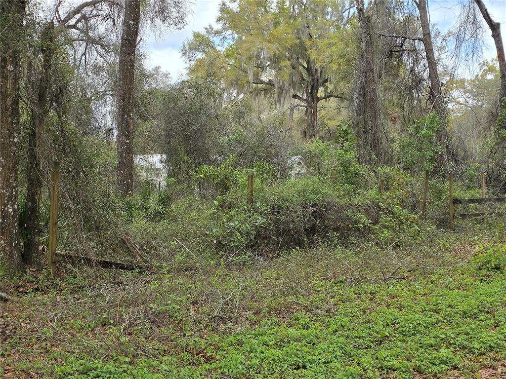 00 SE 30TH AVENUE, SUMMERFIELD, FL — photo 3 of 8