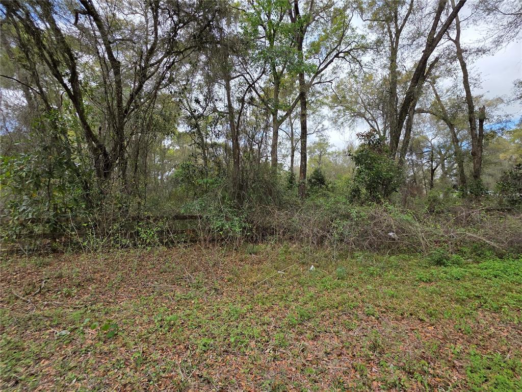 00 SE 30TH AVENUE, SUMMERFIELD, FL — photo 4 of 8