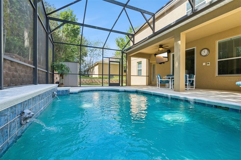 A screened-in patio features a swimming pool with lion-head water fountains and outdoor seating — 11121 LEMAY DRIVE, CLERMONT, FL
