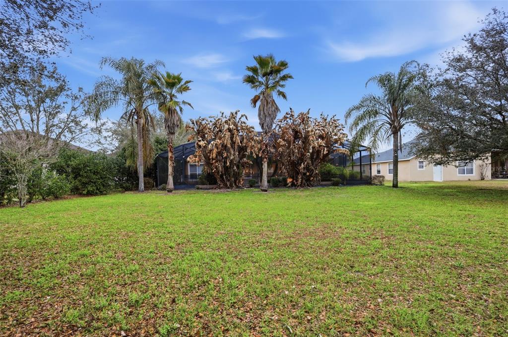 A large grassy backyard features a screened-in pool enclosure surrounded by several palm trees — 1042 SPINNING WHEEL DRIVE, APOPKA, FL