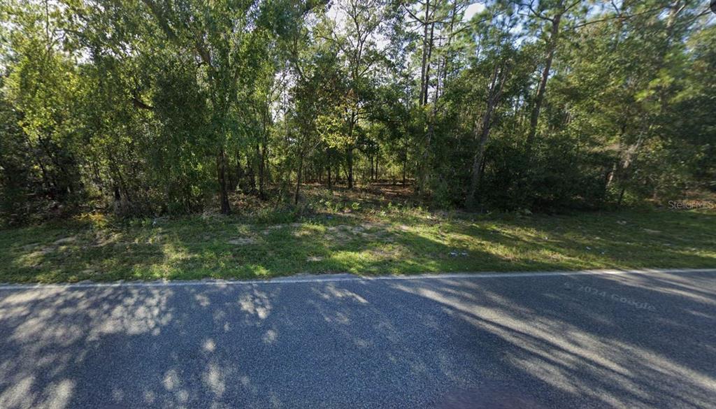 A view of a vacant, wooded lot bordering a paved road — 465 BADEN POWELL ROAD, HAWTHORNE, FL