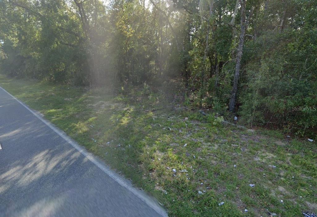 A paved road runs alongside a wooded lot with grass and scattered debris — 465 BADEN POWELL ROAD, HAWTHORNE, FL