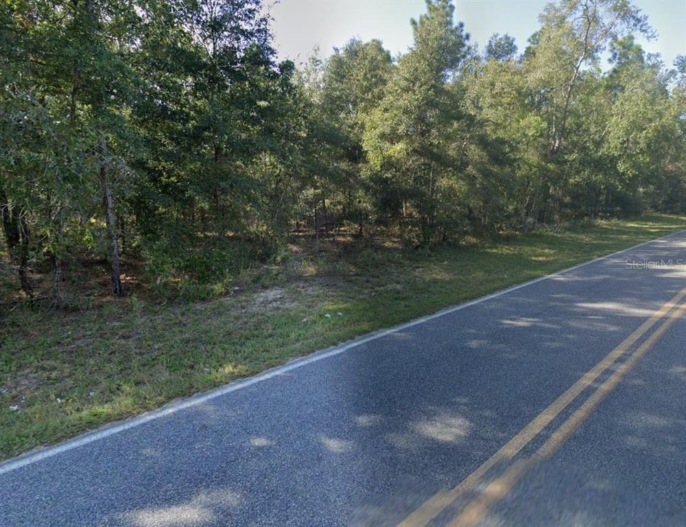 A paved road runs alongside a wooded lot with dense trees and vegetation — 465 BADEN POWELL ROAD, HAWTHORNE, FL