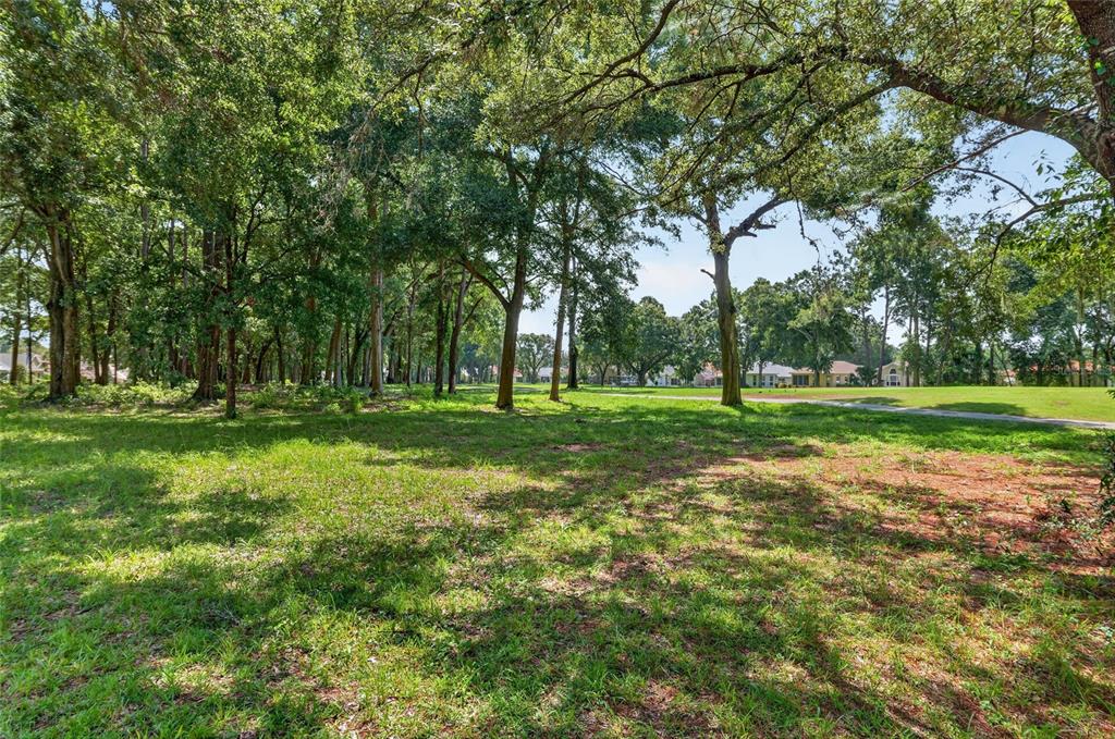 A grassy, tree-filled lot with a view of residential houses in the distance — 11093 SW 69TH CIRCLE, OCALA, FL