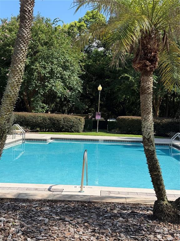 A swimming pool with a metal handrail is surrounded by palm trees and landscaping — 6214 STEVENSON DRIVE UNIT 305, ORLANDO, FL