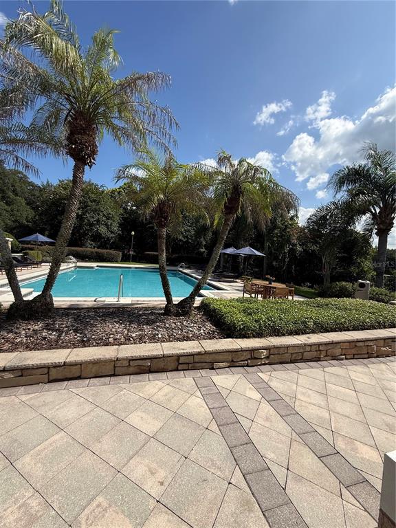 A swimming pool is surrounded by a stone patio, palm trees, and a retaining wall — 6214 STEVENSON DRIVE UNIT 305, ORLANDO, FL