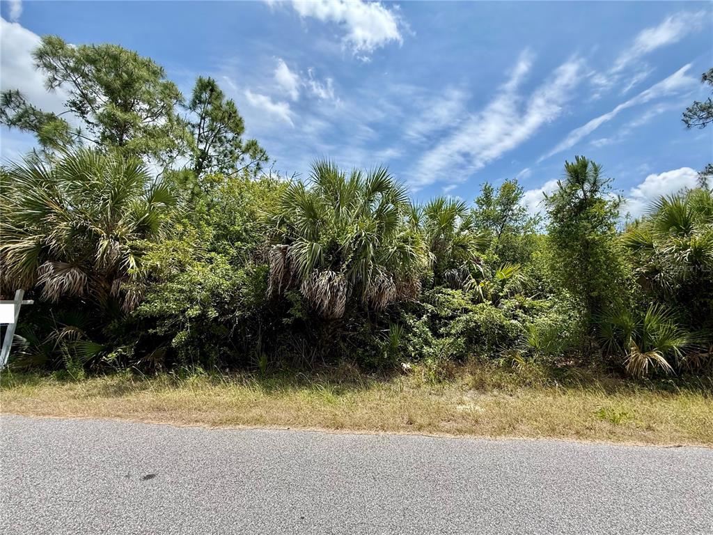 A paved road runs in front of a dense thicket of trees and palm plants — ORCHARD CIRCLE, NORTH PORT, FL