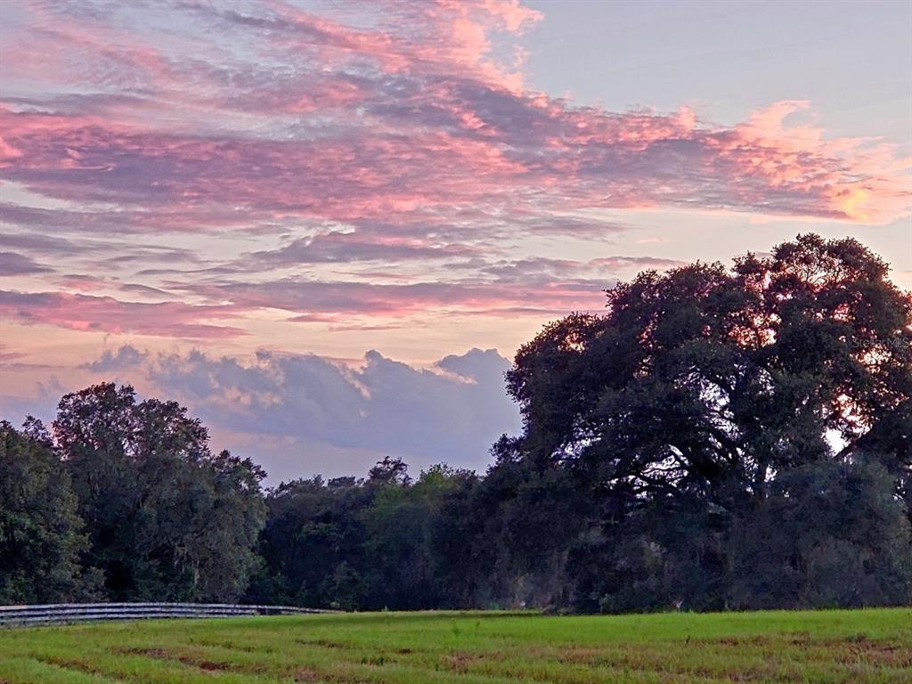 A large oak tree stands beside a grassy field under a vibrant pink sunset sky — 1077 SW 144TH COURT ROAD, OCALA, FL