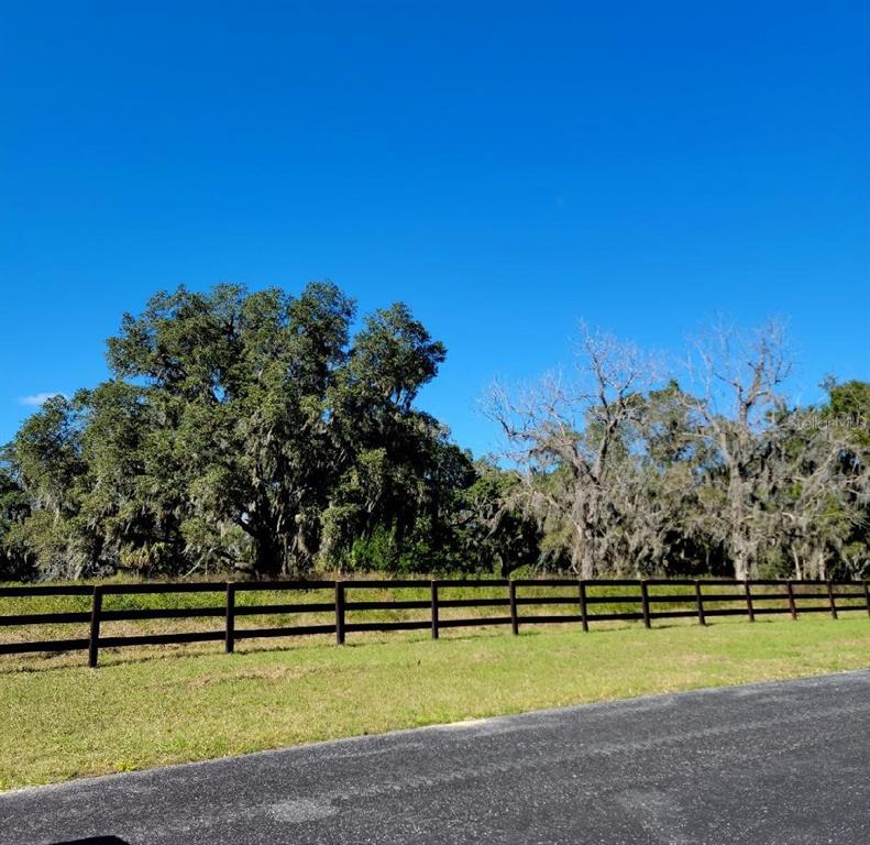 A black wooden fence borders a grassy lot with large trees under a clear sky — 1077 SW 144TH COURT ROAD, OCALA, FL