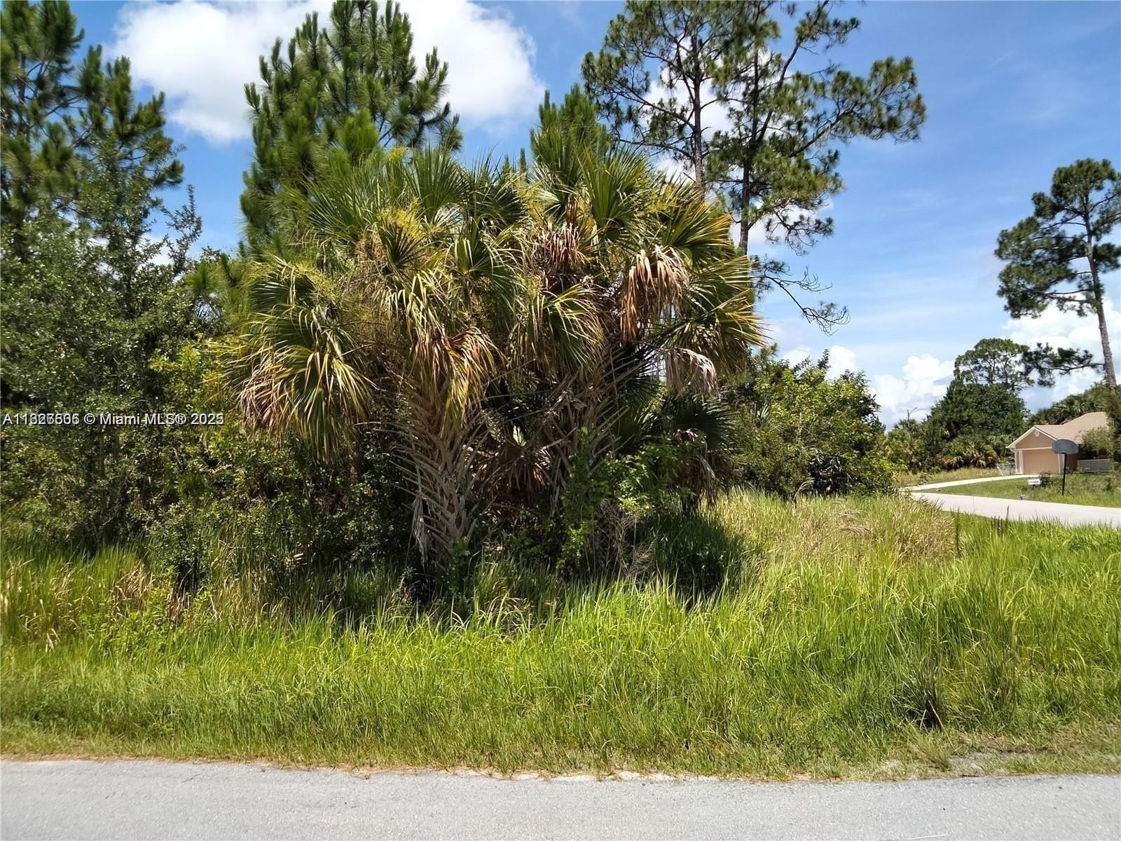 A grassy, undeveloped lot features a large palm tree and surrounding brush under a blue sky — 0 Ocean Ave SW, Palm Bay FL 32908, PALM BAY, FL